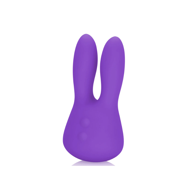 Mini Lapin Marvelous Rose 2