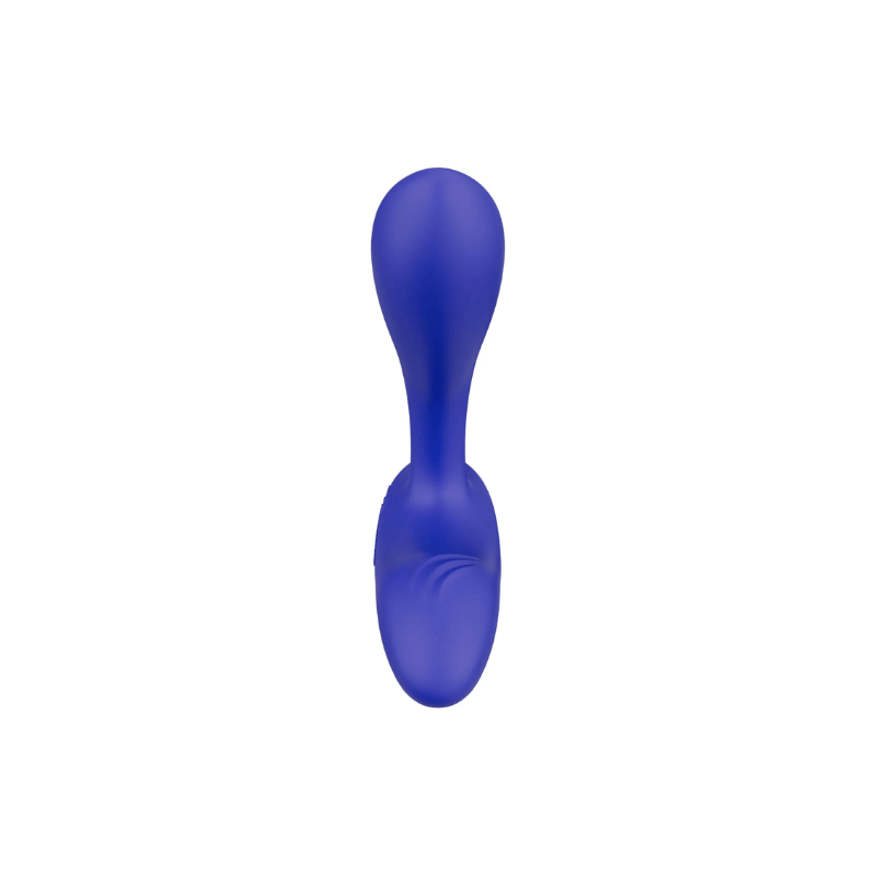 Vector Prostatique Bleu Nuit 18
